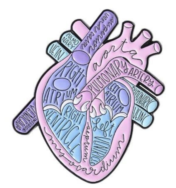 Corazón Netter